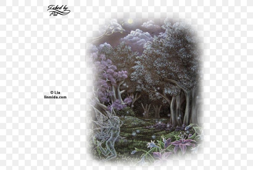 Purple Branching Flower, PNG, 553x553px, Purple, Branch, Branching, Flower, Lavender Download Free