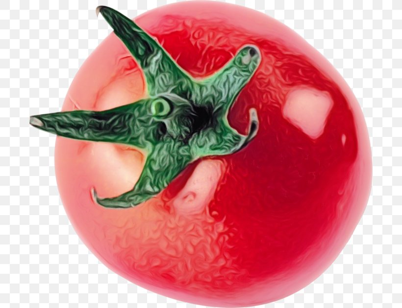 Christmas Tree Ball, PNG, 700x630px, Tomato Juice, Apple Juice, Ball, Bush Tomato, Christmas Decoration Download Free