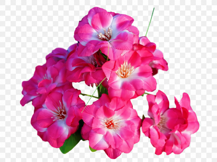 Floral Design, PNG, 1920x1440px, Cranesbill, Annual Plant, Cut Flowers, Floral Design, Flower Download Free
