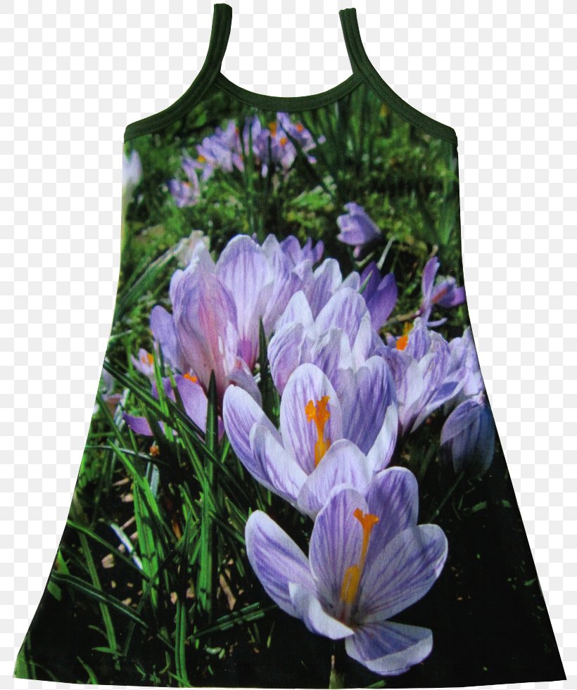 Sewing Clothing Dress Textile Pattern, PNG, 800x981px, Sewing, Child, Clothing, Crocus, Dress Download Free