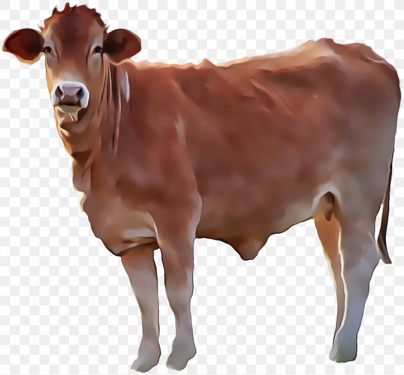 Bovine Brown Dairy Cow Cow-goat Family Livestock, PNG, 1470x1365px, Bovine, Animal Figure, Brown, Bull, Calf Download Free