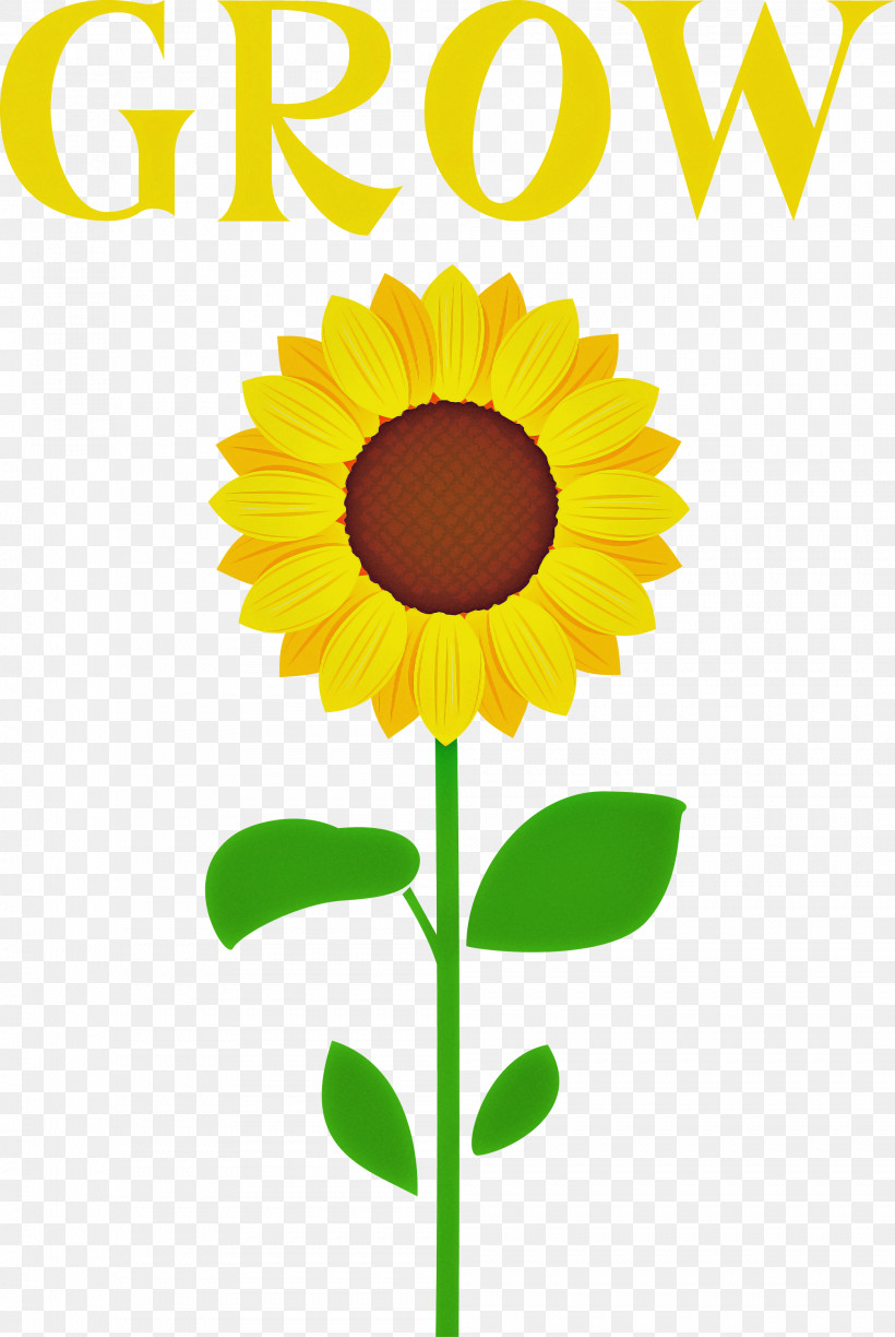 GROW Flower, PNG, 2009x3000px, Grow, Flower, Royaltyfree, Vector Download Free