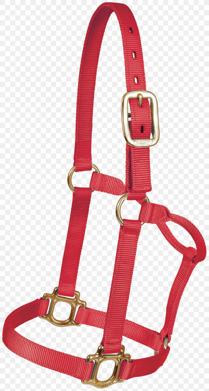 Halter Leash Lead Leather Nylon, PNG, 900x1679px, Halter, Bronc Riding, Buckle, Cattle, Collar Download Free