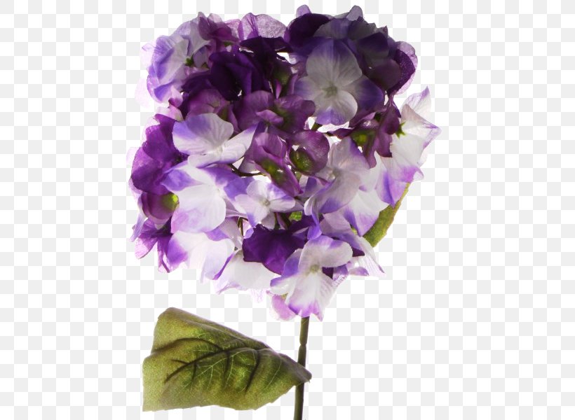 Hydrangea Cut Flowers Petal, PNG, 600x600px, Hydrangea, Cornales, Cut Flowers, Flower, Flowering Plant Download Free