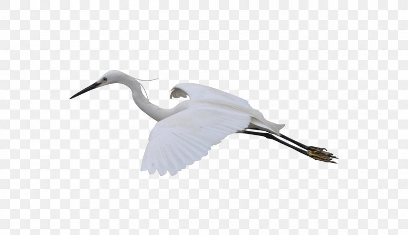 Crane Gratis, PNG, 1318x760px, Crane, Beak, Bird, Crane Like Bird, Designer Download Free