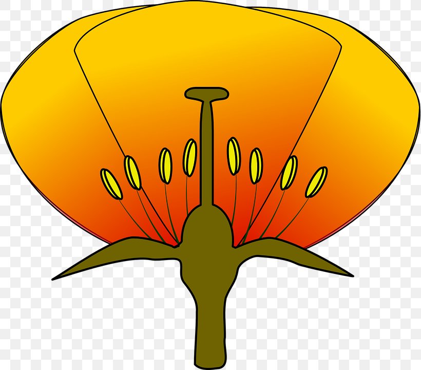 Diagram Flower Clip Art, PNG, 819x720px, Diagram, Artwork, Brain, Flower, Flowering Plant Download Free