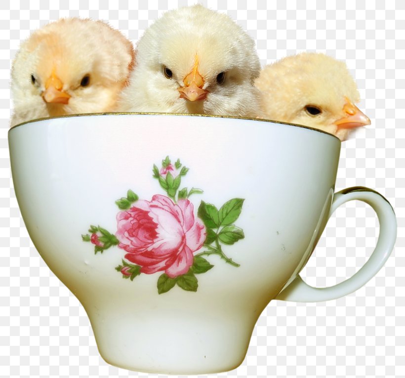 Easter Clip Art, PNG, 800x765px, Easter, Animation, Beak, Blog, Coffee Cup Download Free