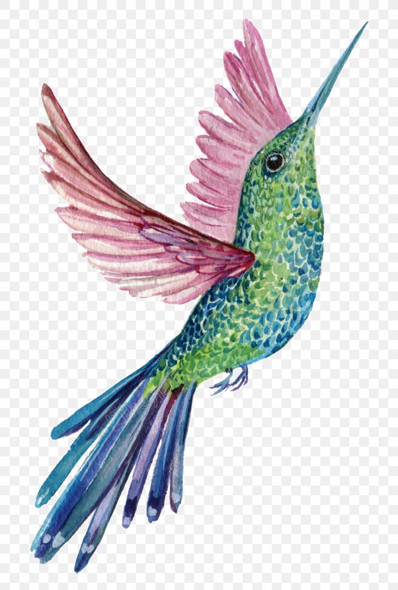 Watercolor Painting Saatchi Art Transparent Watercolor Image Graphics, PNG, 1024x1518px, Watercolor Painting, Beak, Bird, Fauna, Feather Download Free