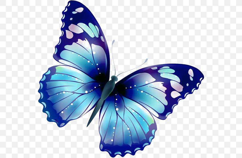 Butterfly Clip Art, PNG, 564x535px, Butterfly, Arthropod, Blog, Blue, Brush Footed Butterfly Download Free