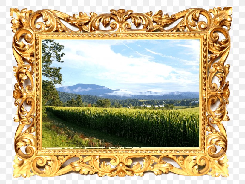 Picture Frames Rectangle Laura Biagiotti, PNG, 1000x750px, Picture Frames, Laura Biagiotti, Mirror, Picture Frame, Rectangle Download Free