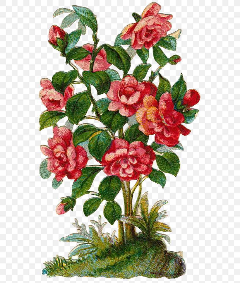 Rose Bush Png - Drawing A Rose Tree Clipart (#1230733) - PikPng