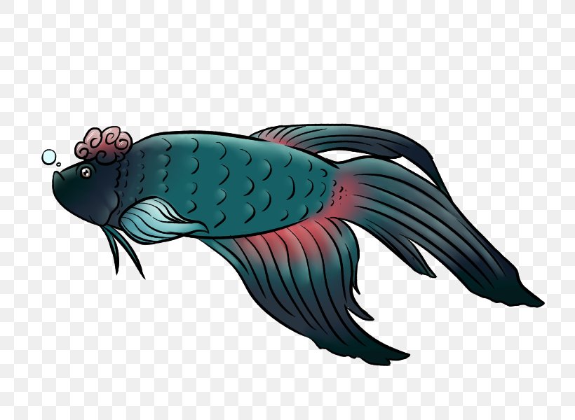 Siamese Fighting Fish Drawing Illustration Clip Art, PNG, 800x600px, Siamese Fighting Fish, Art, Carp, Cartoon, Drawing Download Free