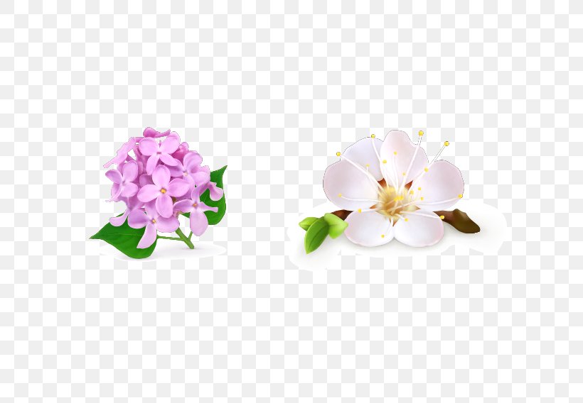 Flower Drawing Royalty-free Floral Design, PNG, 709x568px, Flower, Blossom, Drawing, Floral Design, Floristry Download Free