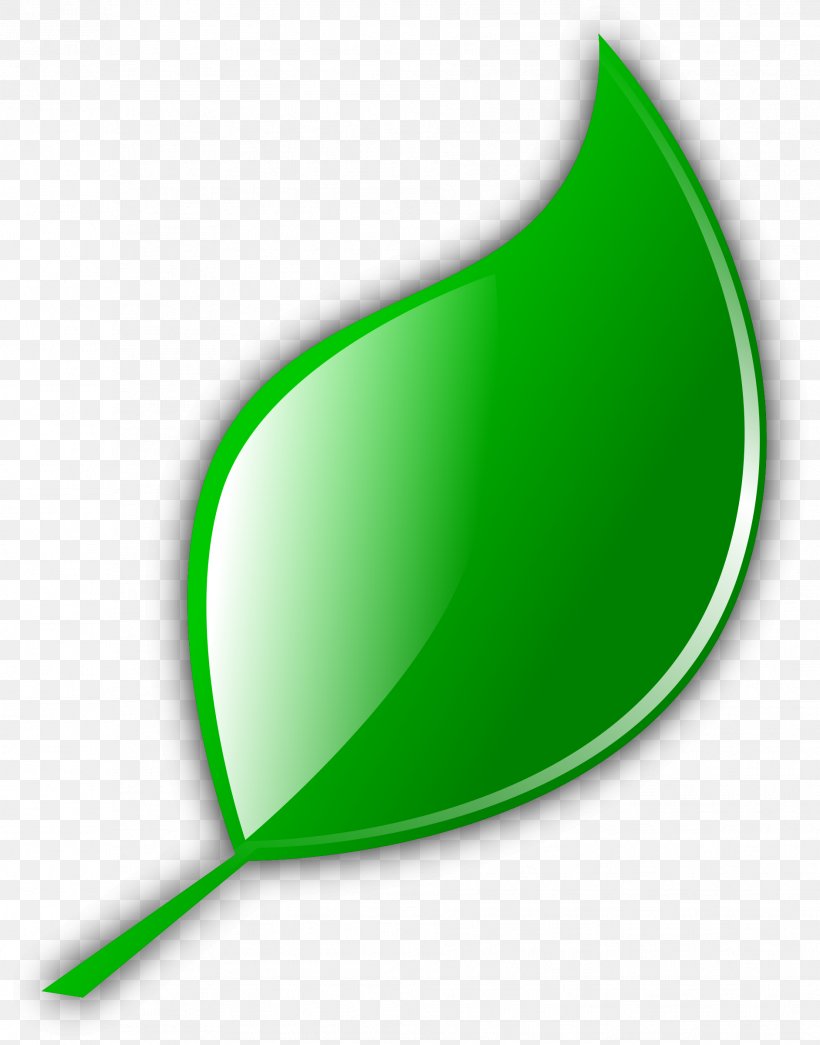Green Tea Leaf Clip Art, PNG, 1883x2400px, Green Tea, Bamboo, Color, Grass, Green Download Free