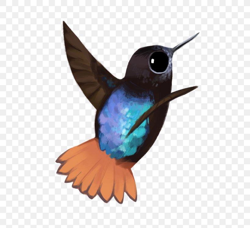 Hummingbird Fauna Beak Feather, PNG, 500x750px, Hummingbird, Beak, Bird, Fauna, Feather Download Free