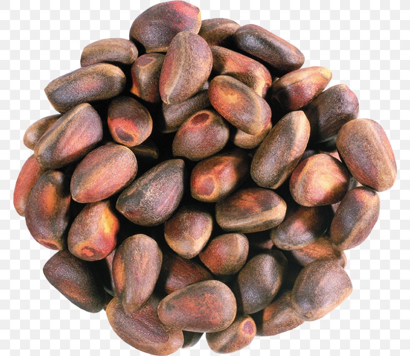 Pine Nut Nuts Pinus Sibirica Peanut, PNG, 768x713px, Nut, Bean, Cedar, Cocoa Bean, Commodity Download Free