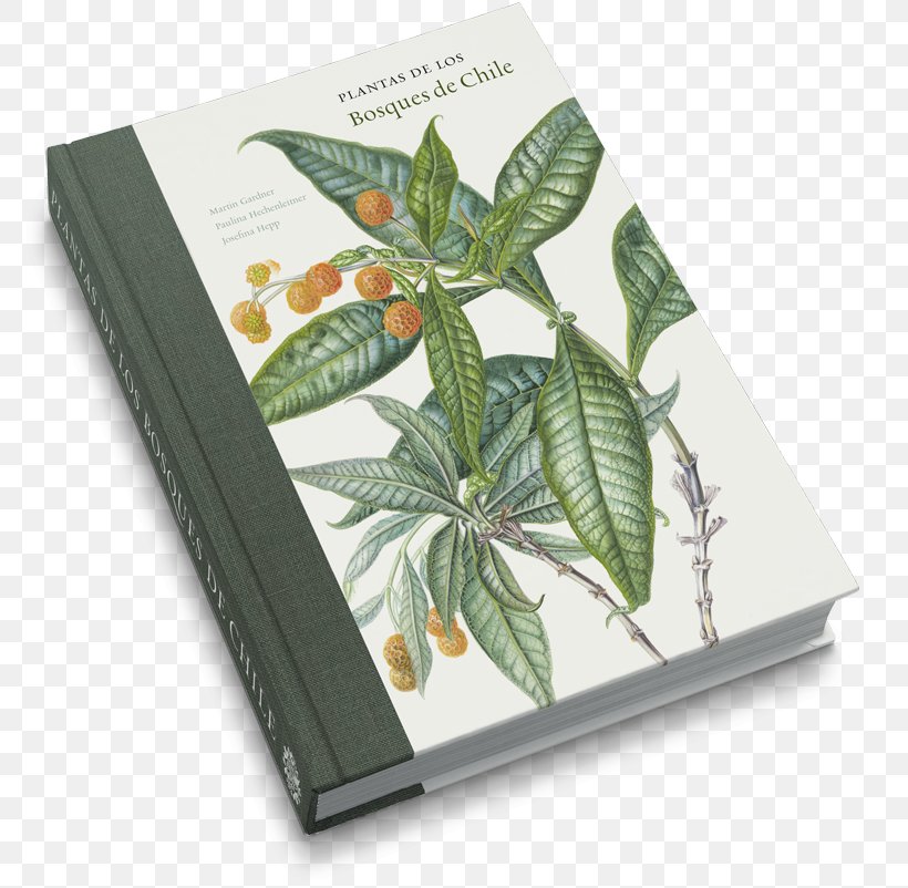 Plants From The Woods And Forests Of Chile Botany Royal Botanic Garden Edinburgh, PNG, 800x802px, Botany, Book, Botanical Garden, Botanical Illustration, Chile Download Free