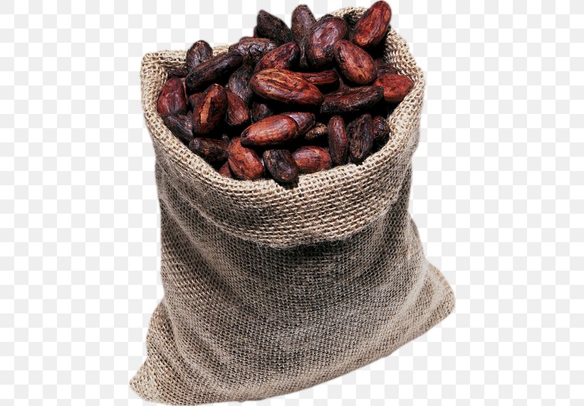 Cocoa Bean Chocolate Cacao Tree Cocoa Solids Tablette De Chocolat, PNG, 460x570px, Cocoa Bean, Bean, Brown, Cacao Tree, Chocolate Download Free