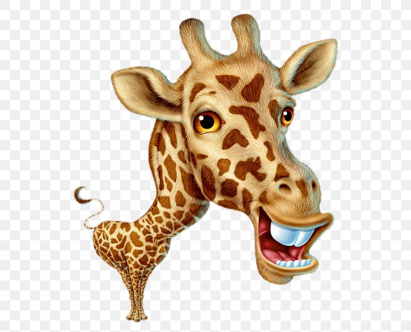 Baby Giraffes Giraffes Can't Dance Animal Clip Art, PNG, 576x663px, Baby Giraffes, Animal, Cuteness, Drawing, Funny Animal Download Free