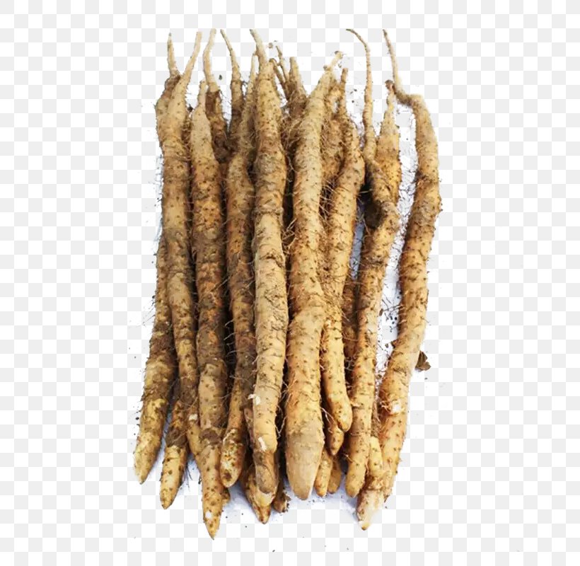 Chinese Yam Vegetable, PNG, 800x800px, Chinese Yam, Android, Animal Source Foods, Food, Google Images Download Free