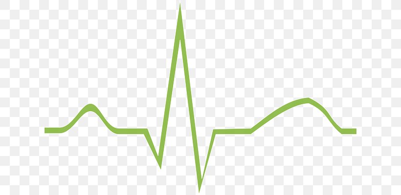 Electrocardiography Heart Health Care Clip Art, PNG, 640x400px, Electrocardiography, Atrium, Clinic, Emergency Medical Services, Grass Download Free