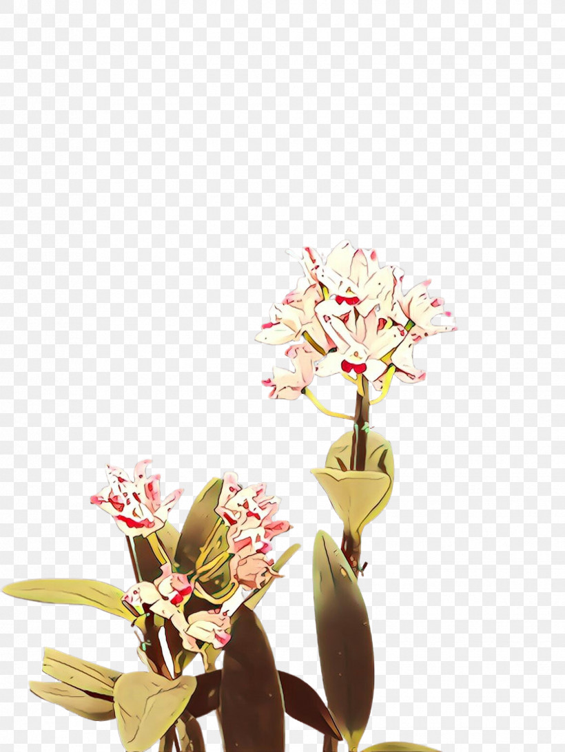 Flower Plant Spring Cut Flowers Still Life Photography, PNG, 1732x2307px, Flower, Blossom, Cut Flowers, Plant, Plant Stem Download Free