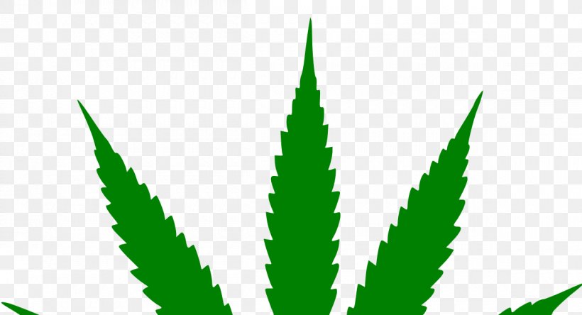 Hash, Marihuana & Hemp Museum Medical Cannabis Joint Cannabis Sativa, PNG, 1200x650px, Hash Marihuana Hemp Museum, Blunt, Cannabis, Cannabis Ruderalis, Cannabis Sativa Download Free
