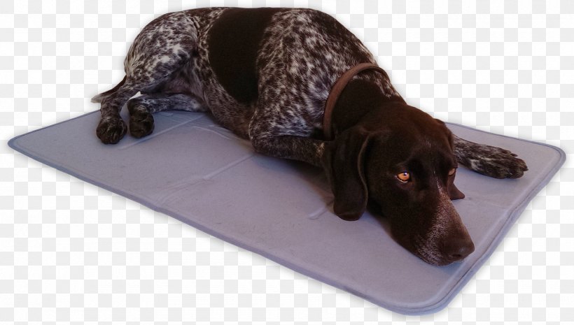 AniMat Cool Gel Mat Dark Blue Nylon Dog Breed Bed, PNG, 1800x1021px, Dog, Bag, Bed, Bedding, Clothing Download Free