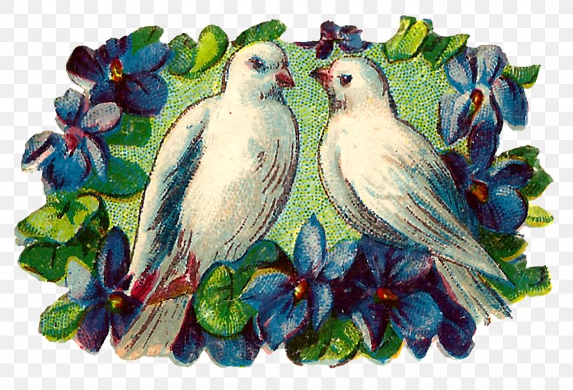 Clip Art Bird Image Openclipart Romance, PNG, 1600x1090px, Bird, Art, Beak, Common Pet Parakeet, Fauna Download Free