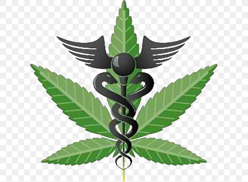 Medical Cannabis Medical Marijuana Card Dispensary Cannabis Shop, PNG, 621x602px, Medical Cannabis, Aids, Bong, Cannabis, Cannabis Shop Download Free