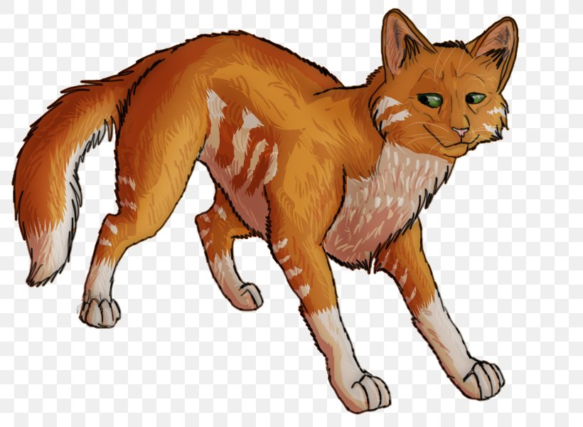 Whiskers Red Fox Cat Dhole Fauna, PNG, 800x600px, Whiskers, Animal, Animal Figure, Big Cat, Big Cats Download Free
