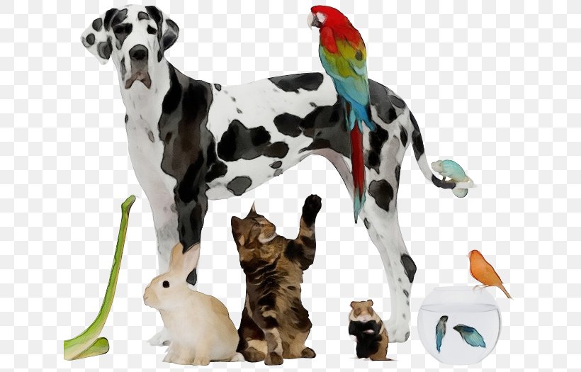 Animal Figure Dog Dalmatian Great Dane Toy, PNG, 640x525px, Watercolor, Animal Figure, Dalmatian, Dog, Great Dane Download Free