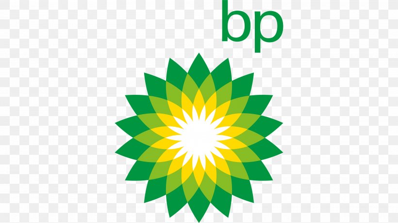 BP Business, PNG, 4000x2250px, Business, Company, Energy, Flower, Green Download Free