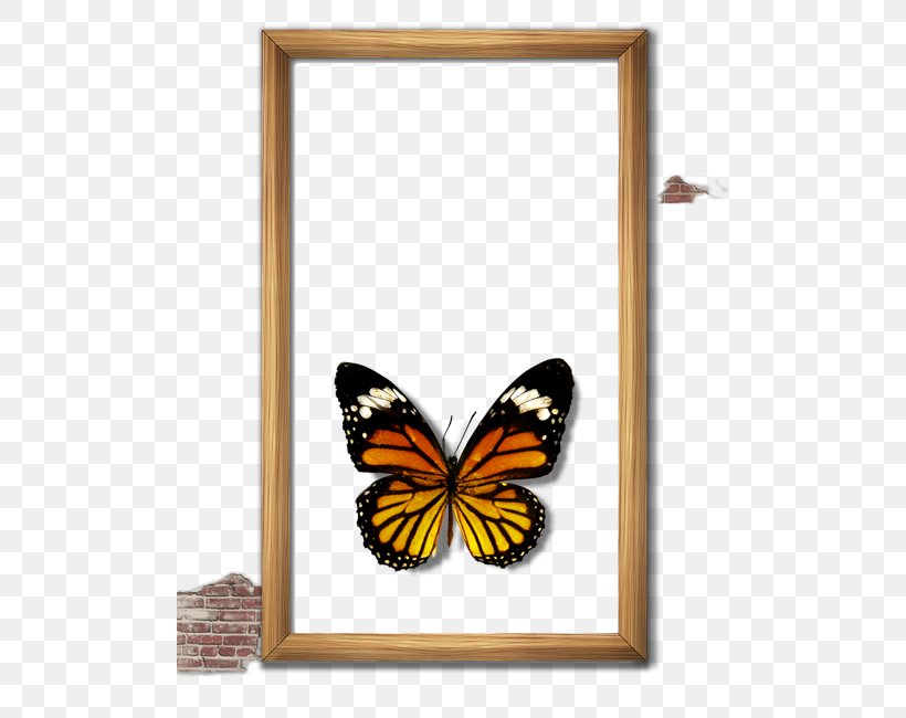 Butterfly Picture Frame Computer File, PNG, 500x650px, Butterfly, Arthropod, Brush Footed Butterfly, Designer, Flower Download Free