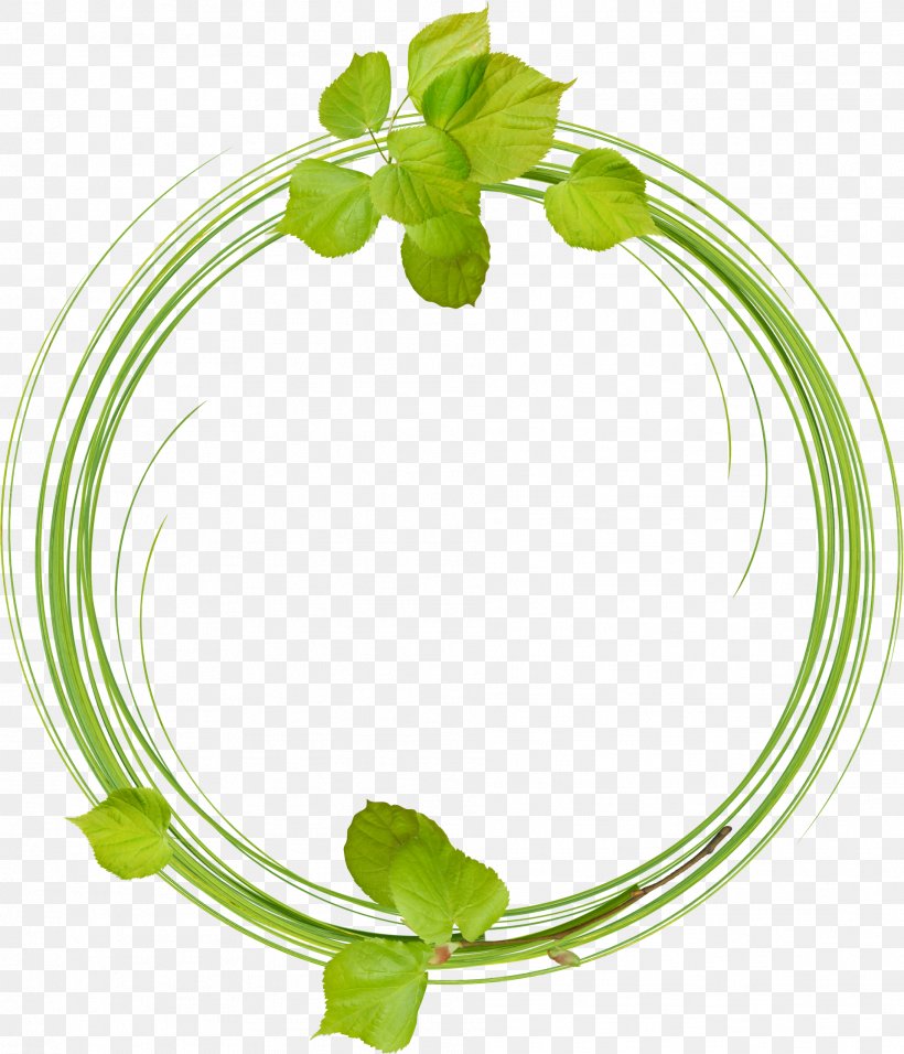 Leaves Ring, PNG, 1916x2235px, Drawing, Data Compression, Flower, Green, Leaf Download Free