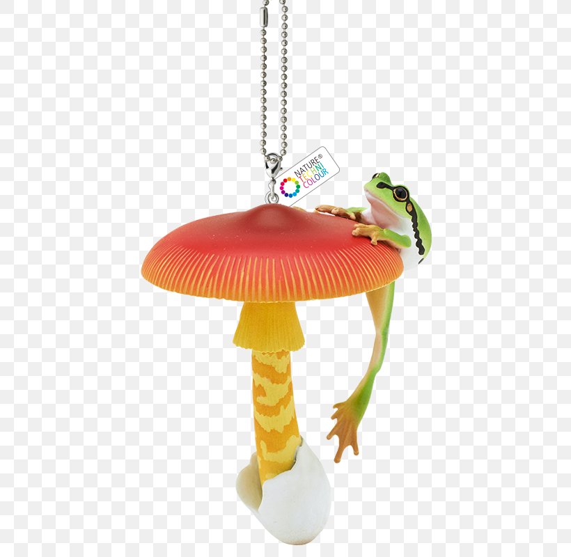 Mushroom Hypha Entoloma Virescens Japanese Tree Frog, PNG, 800x800px, Mushroom, Baby Toys, Color, Eye, Hypha Download Free