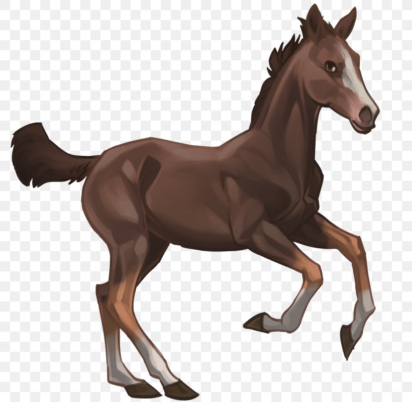 Mustang Foal Stallion Colt Rein, PNG, 800x800px, Mustang, Animal Figure, Bridle, Colt, English Riding Download Free