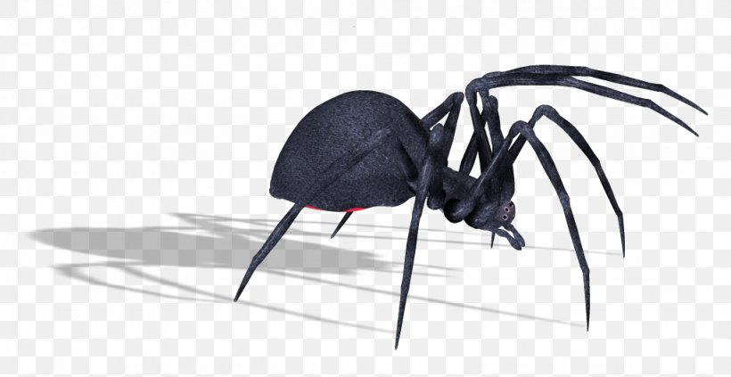 Spider Download, PNG, 1026x530px, Spider, Arachnid, Arthropod, Black Widow, Image File Formats Download Free