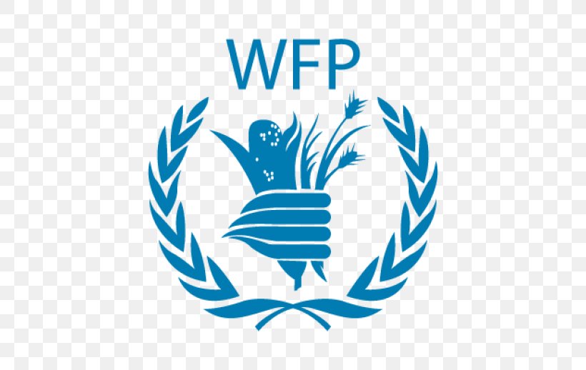 United Nations Office At Nairobi World Food Programme Organization Logo, PNG, 518x518px, United Nations Office At Nairobi, Area, Brand, Leaf, Logo Download Free