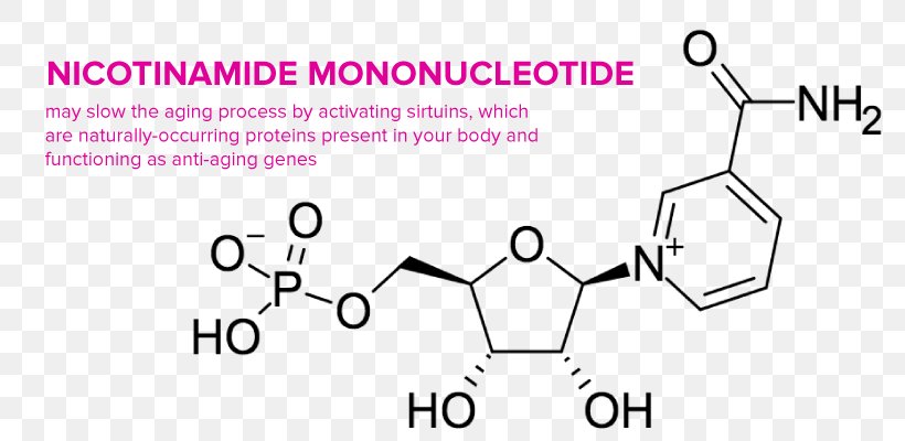 Dietary Supplement Nicotinamide Mononucleotide Lipoic Acid Ascorbic Acid, PNG, 800x400px, Watercolor, Cartoon, Flower, Frame, Heart Download Free