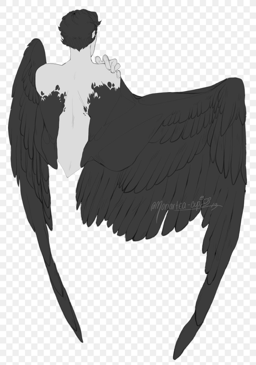 Drawing Art Image Angel Reference, PNG, 795x1169px, Drawing, Angel, Art, Beak, Bird Download Free