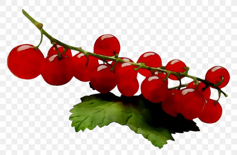 Varenye Redcurrant Fruit Blackcurrant Jam, PNG, 1336x876px, Varenye, Berries, Berry, Blackcurrant, Branch Download Free