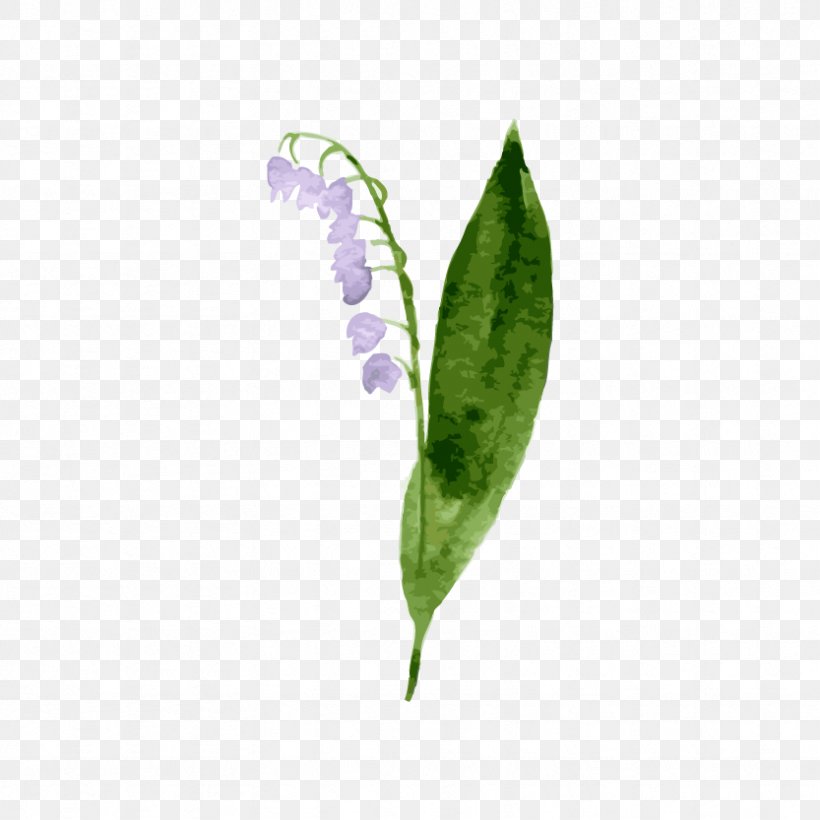 Clip Art, PNG, 833x833px, Plant, Bellflowers, Chinese New Year Flower, Fundal, Green Download Free