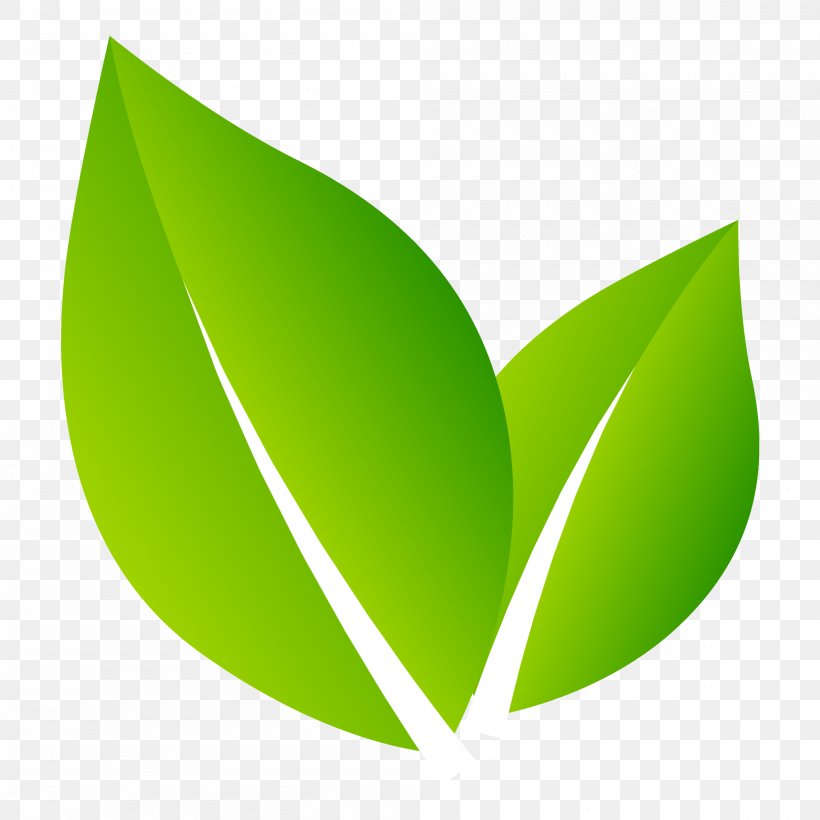 Logo Nature Leaf, PNG, 2000x2000px, Logo, Designer, Fukei, Grass, Green Download Free