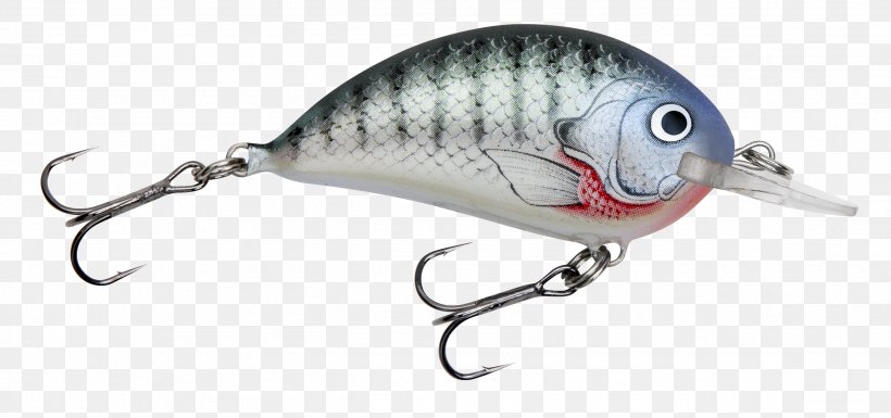 Plug Fishing Baits & Lures Spoon Lure, PNG, 2577x1212px, Plug, Bagley, Bait, Bluegill, Business Download Free