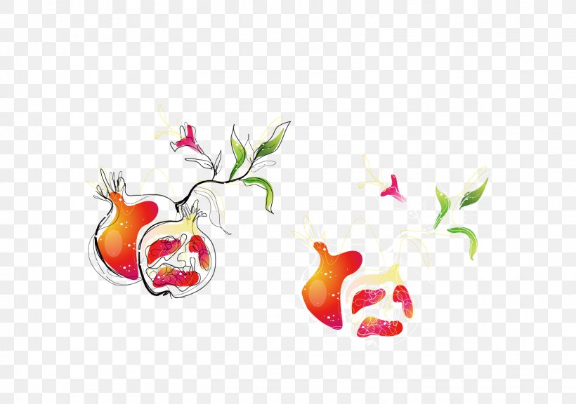 Pomegranate Euclidean Vector Illustration, PNG, 1617x1136px, Pomegranate, Auglis, Cartoon, Drawing, Food Download Free