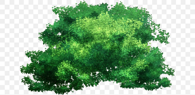 Green Grass Background, PNG, 654x402px, Tree, Bark, Branch, Grass, Green Download Free