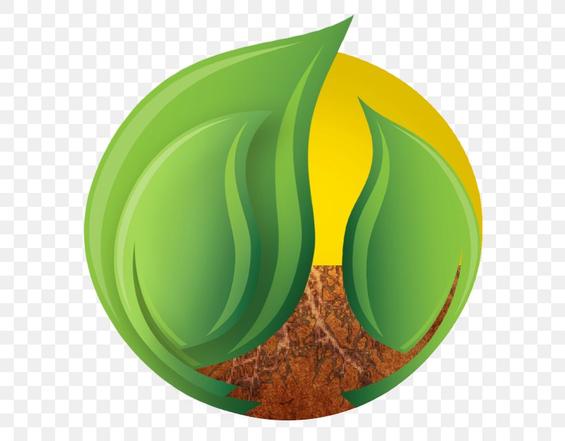 Green Leaf Plate Tree Plant, PNG, 640x640px, Green, Leaf, Logo, Plant, Plate Download Free