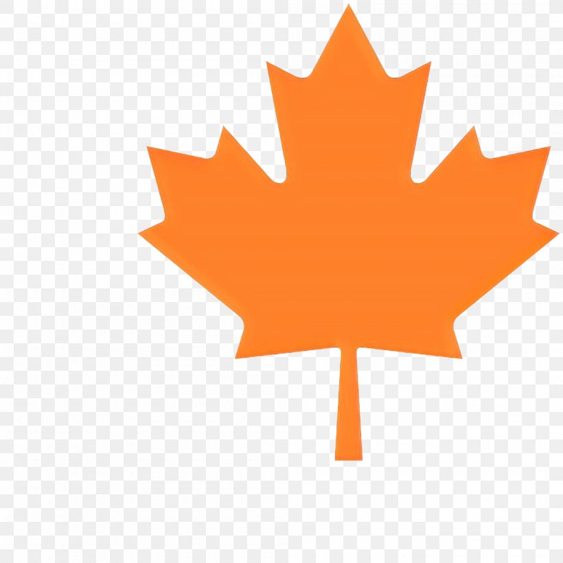 Maple Leaf, PNG, 2000x2000px, Cartoon, Black Maple, Leaf, Maple, Maple Leaf Download Free