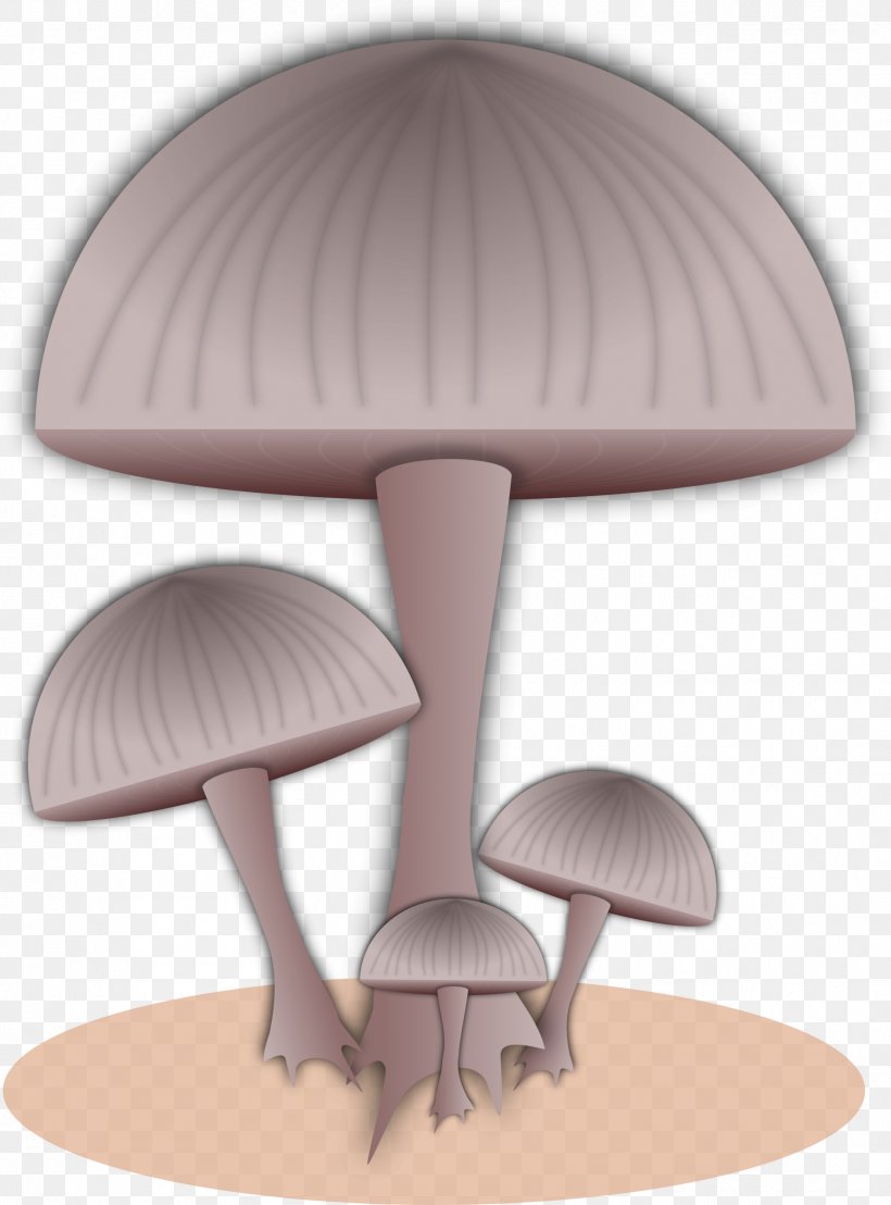 Toad Mushroom Fungus Clip Art, PNG, 1775x2400px, Toad, Fungus, Lamp, Mushroom, Public Domain Download Free